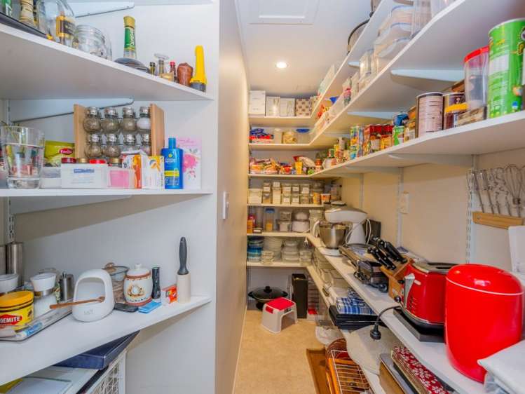 42 Kent Street Levin_9