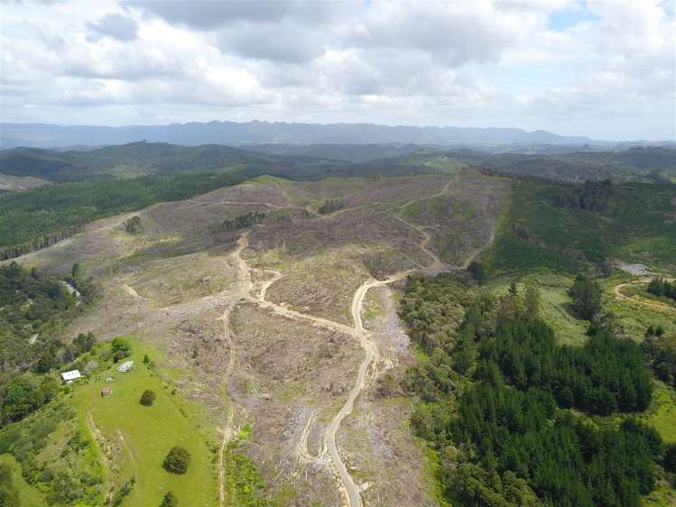 Taheke Road Horeke_3