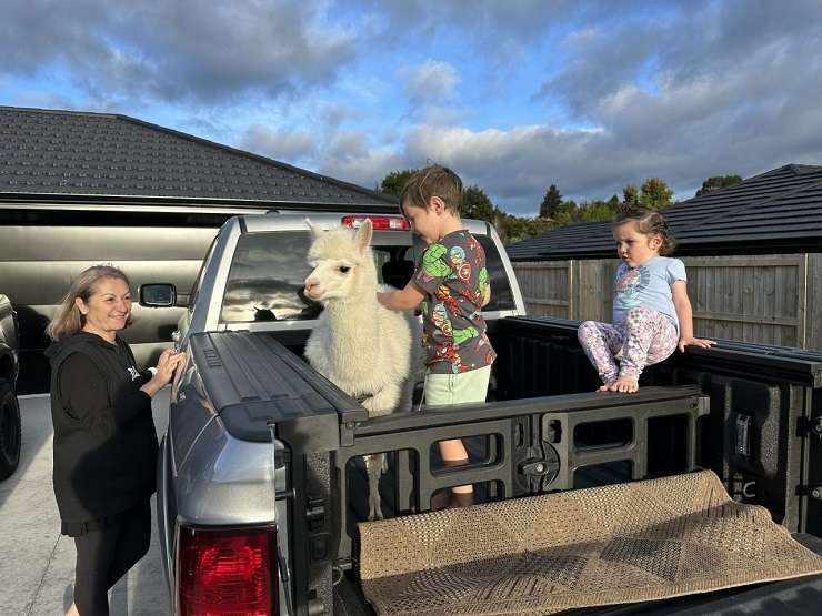 Ray White agent Tim O’Sullivan with his pet, Boris the Alpaca: 