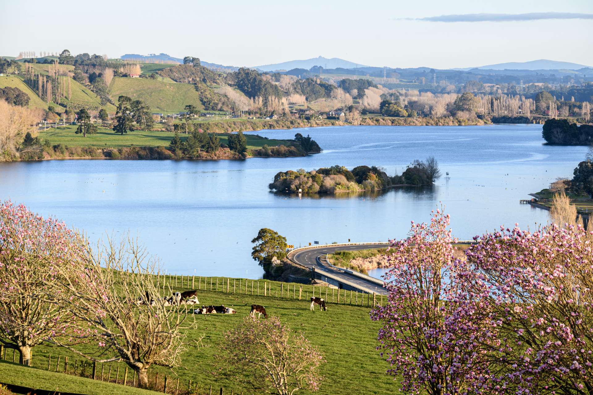 2400 Maungatautari Road Cambridge_0