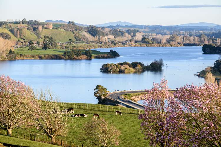 2400 Maungatautari Road_0