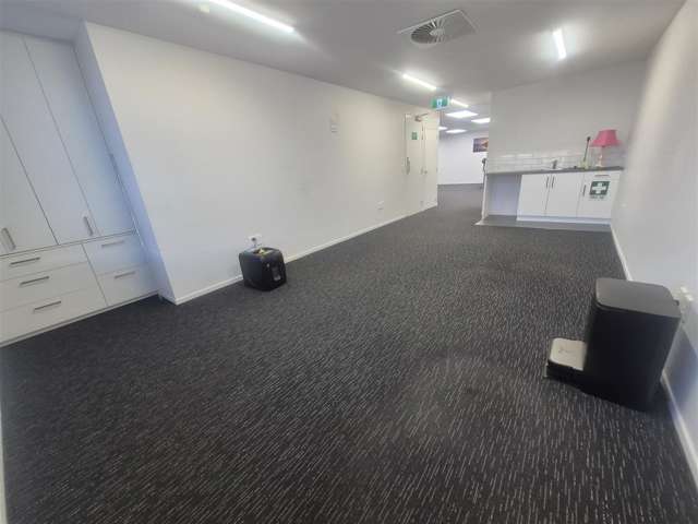 Unit 5/19 William Lewis Drive Sockburn_3