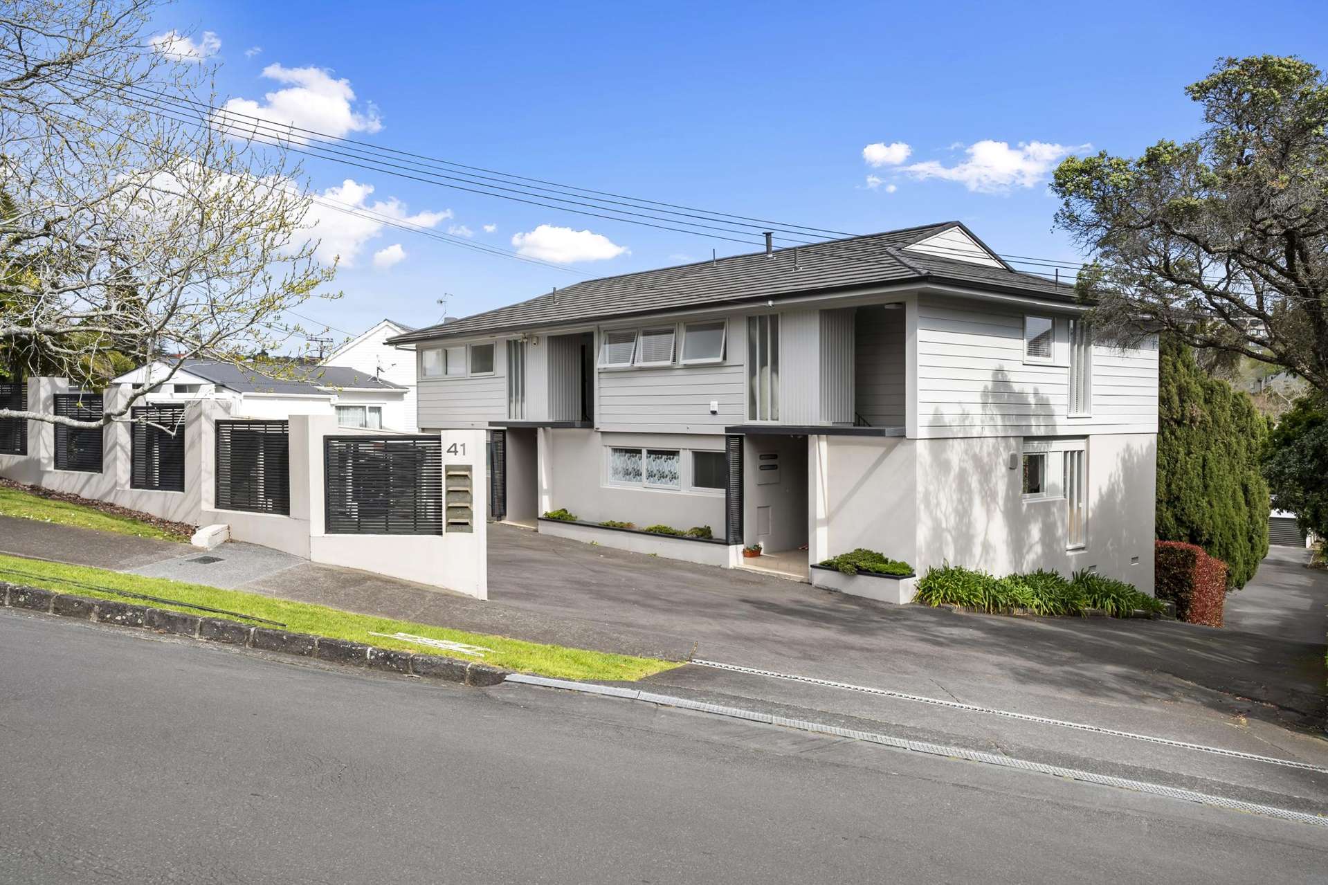 3/41 Manawa Road Remuera_0