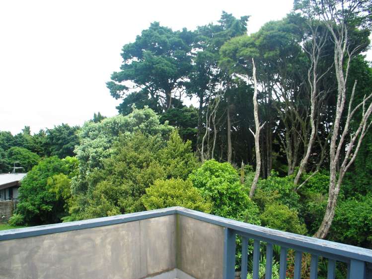 21 Hakea Place Totara Heights_6