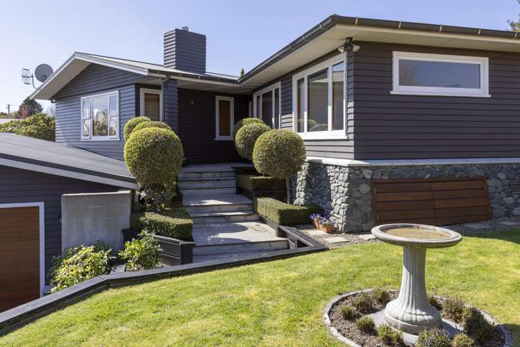 26 Kiwi Street Bird Area_3