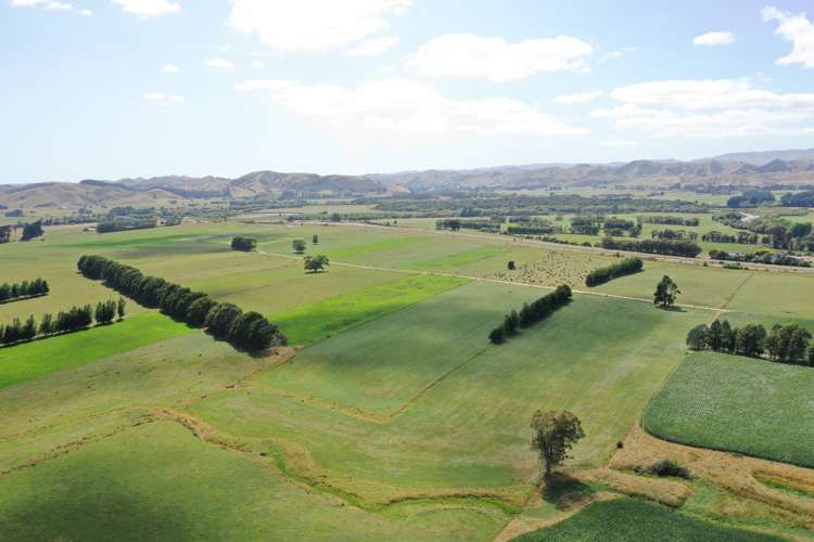 80922 State Highway 2 Pahiatua_9