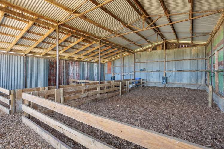 64 No 4 Road Morrinsville_19