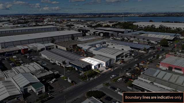 115 Captain Springs Road Onehunga_2