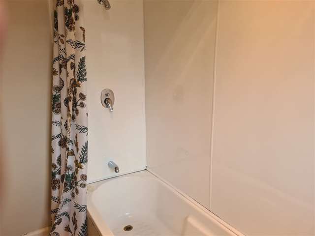 73 Grove Street Tinwald_4