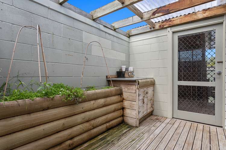 36 Potts Avenue Opotiki and Surrounds_14