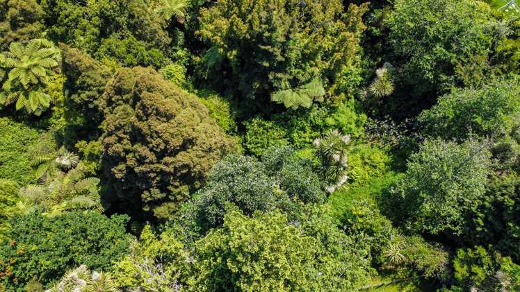 247A Stanley Road Wainui_4