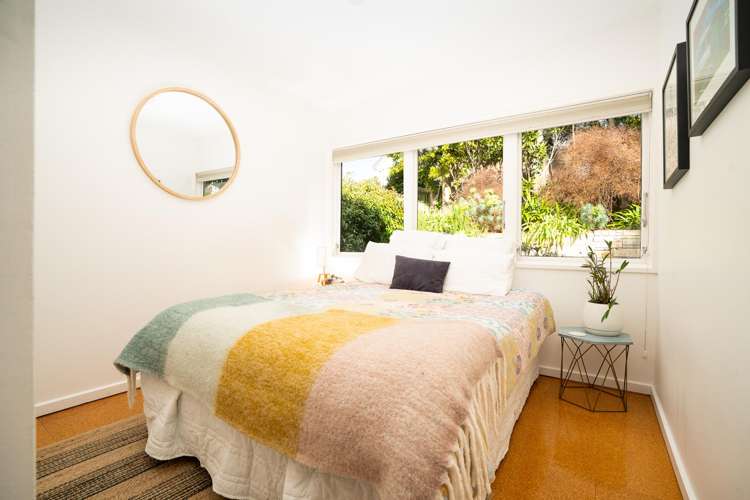 31 Aro Street Aro Valley_12