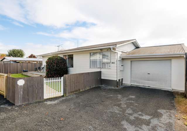 384a Kahikatea Drive Dinsdale_3