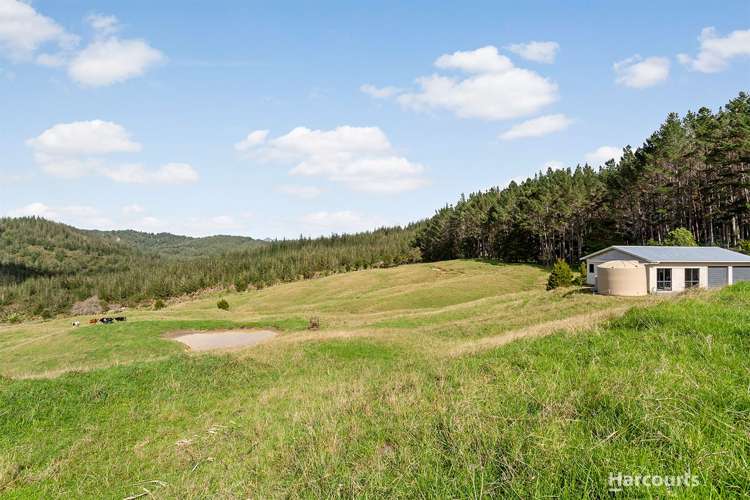 245 Pukeatua Road Maungatapere_6