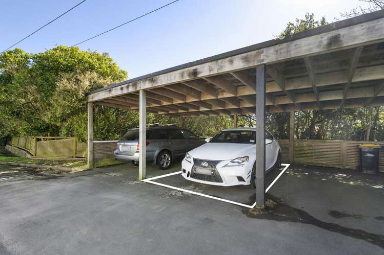 40A Middleton Road Johnsonville_13