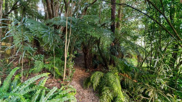 1755 Ponga Road Hunua_29