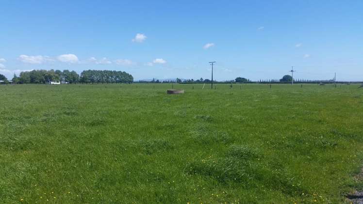 223 No 1 Road Waitoa_8