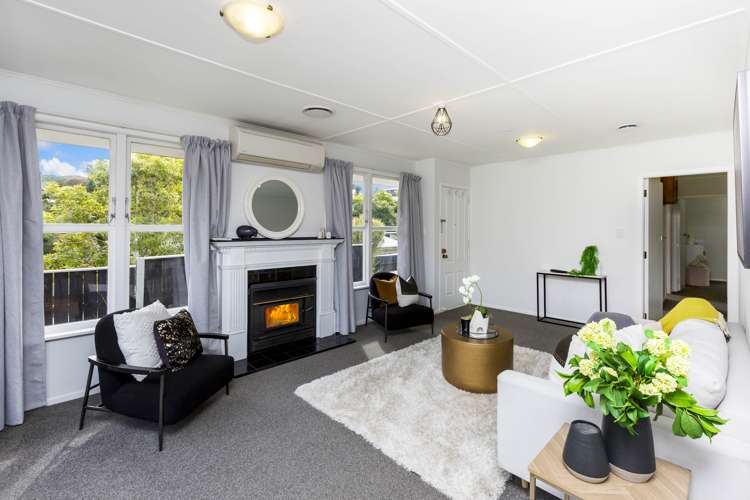 1310 Fergusson Drive Brown Owl_5