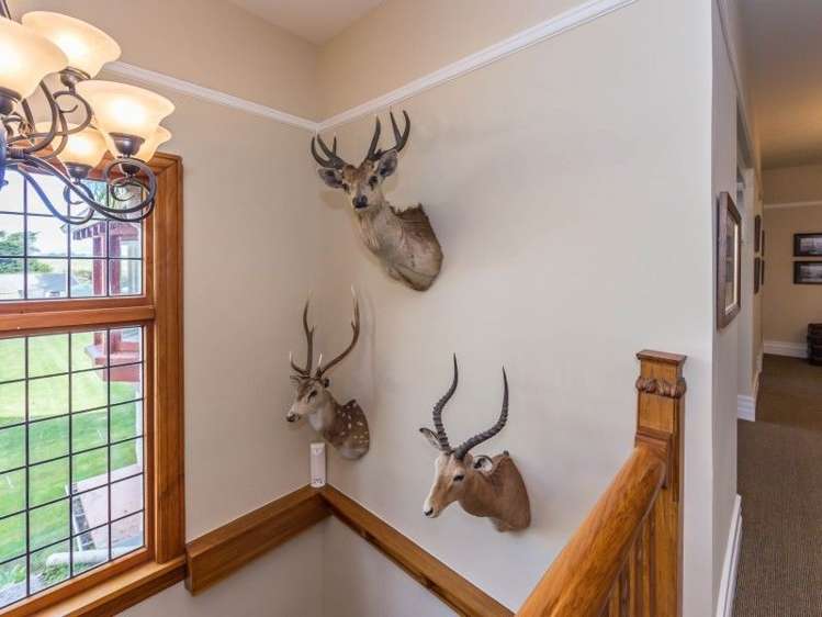 1199 Pareora River Road Maungati_14