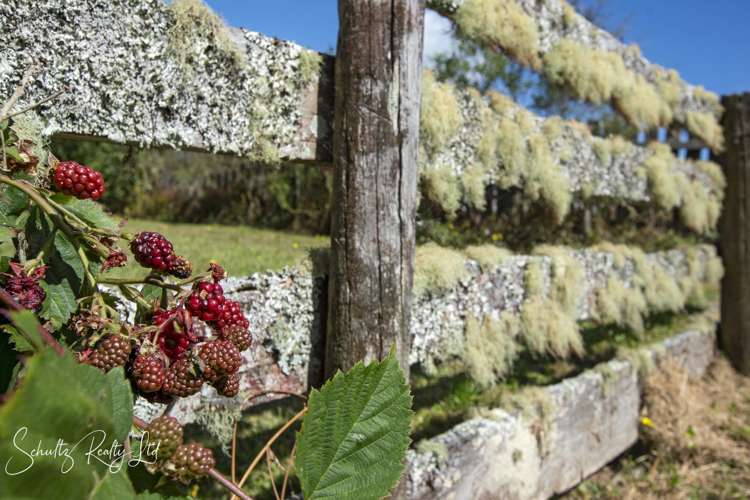 32 Bickerstaffe Road Maungaturoto_25