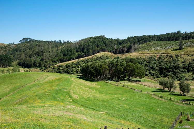 878 Waikaretu Valley Road Glen Murray_9