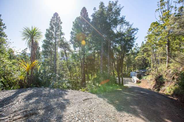 15 Te Aute Ridge Road Waitakere_2