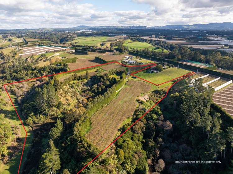 193 Maungarangi Road Paengaroa_16