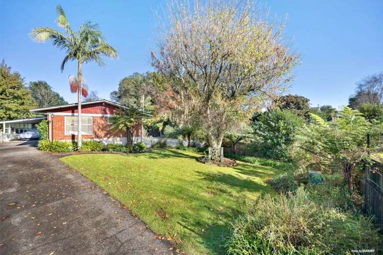 20 Childs Avenue Pukekohe_17