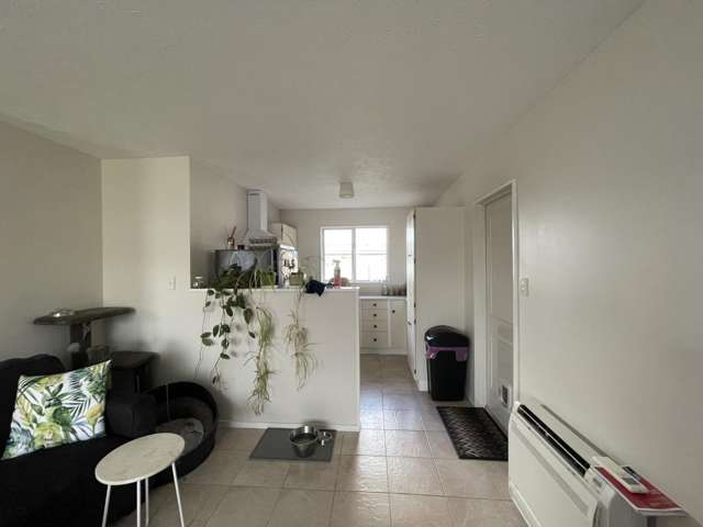 90 H Brown St 10551_2