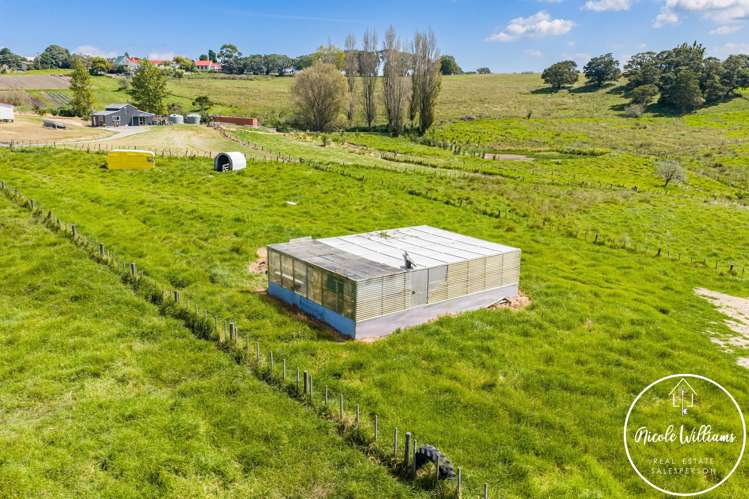 35 Minnie Casey Rise Matakohe_25