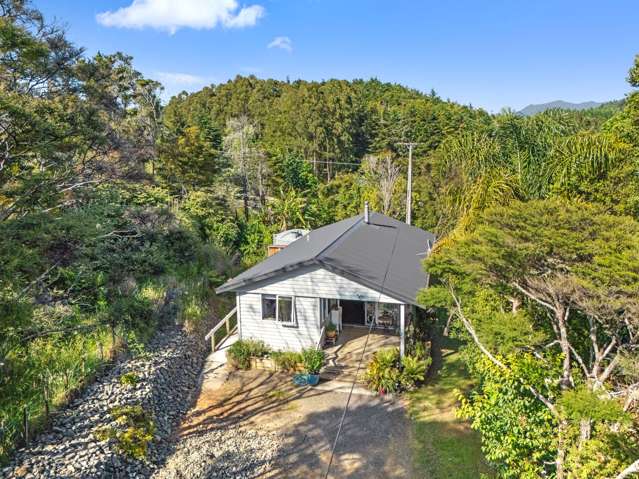 2926 SH25 Tairua Whitianga HWY Whitianga_3