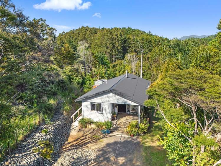2926 SH25 Tairua Whitianga HWY Whitianga_2