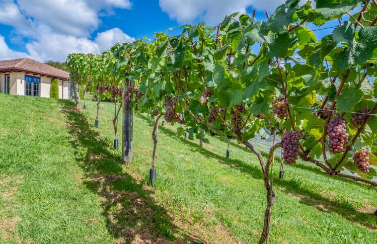 61A Whitford Park Road Whitford_49