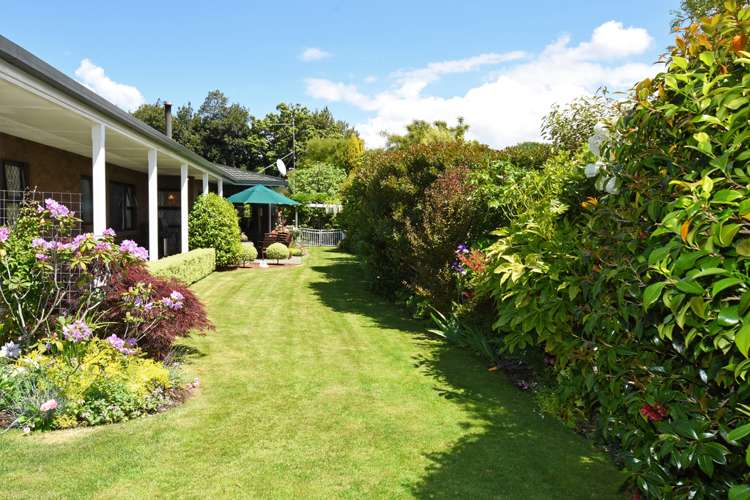 76b West Street Greytown_13