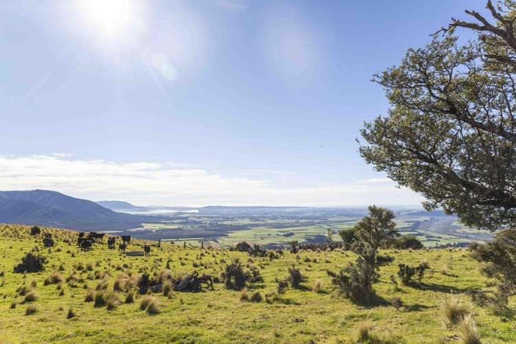 103 Glentui Bush Road Oxford_26