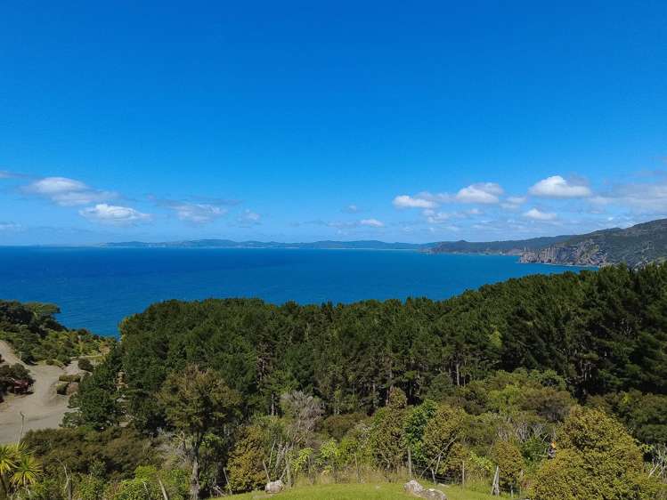 15 Kowhai Place Coromandel_24