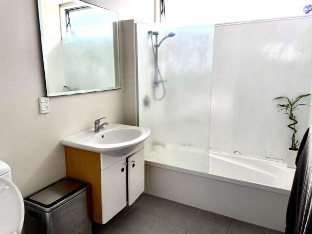 32A Elizabeth Street 11068_4