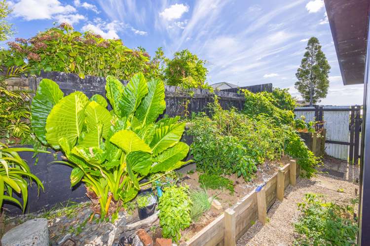 2 College Street Te Awamutu_18