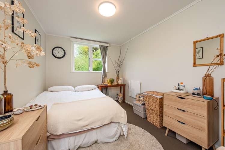 11 Mount Pleasant Road Aro Valley_5