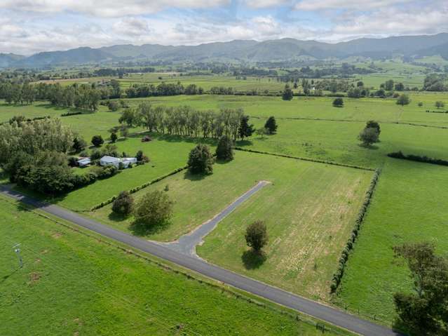 Strange Road Te Aroha_2