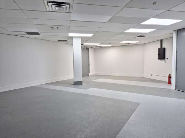 15 Walter Street Te Aro_3