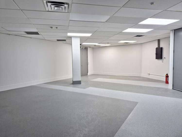 15 Walter Street Te Aro_3