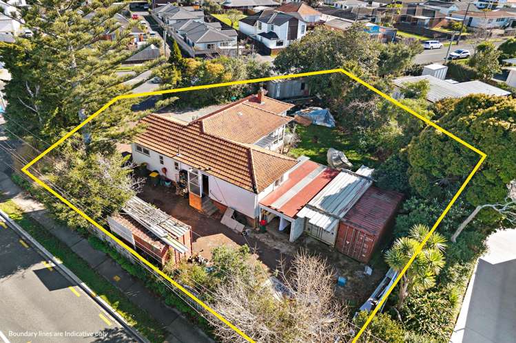 170 Astley Avenue New Lynn_18