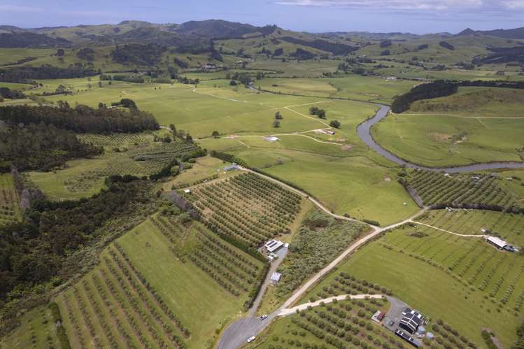 87 Leccino Valley Road Mangonui_40