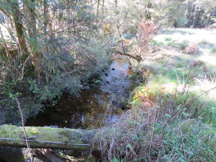 850 Browns Creek Road Inangahua_24