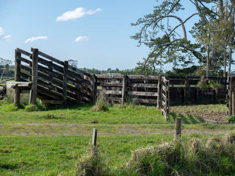 562E Waimate North Road Kerikeri_23