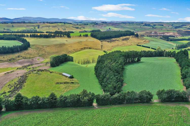 82 Paradise Gully Road Ngapara_17