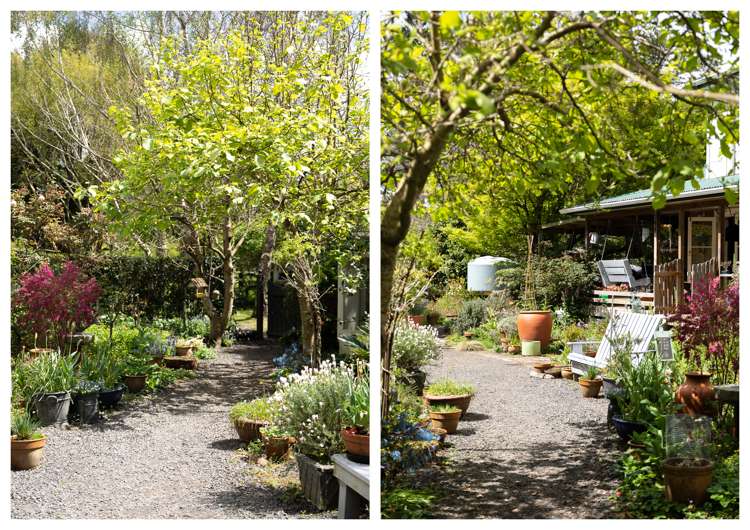 42a Junction Road Paeroa_6