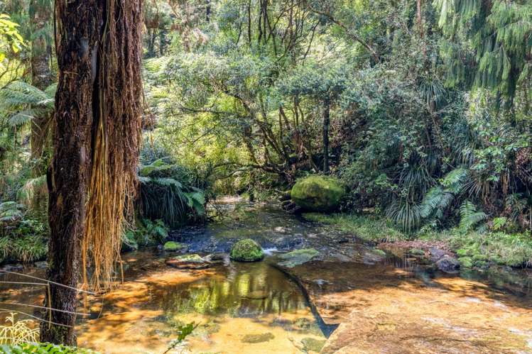 280 Old Kaimai Road Lower Kaimai_8