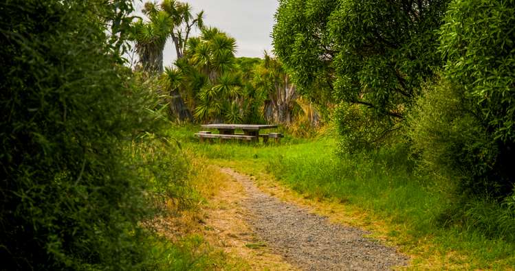 205 Rocking Horse Road Southshore_25